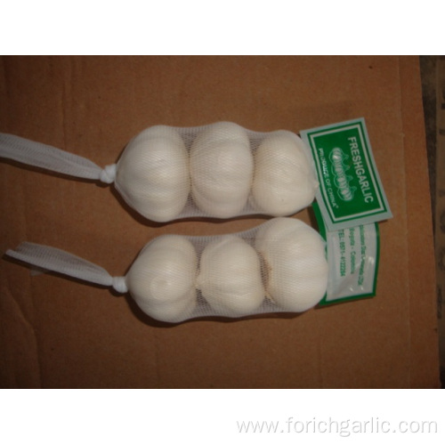 Different Sizes of Jinxiang Pure White Garlic